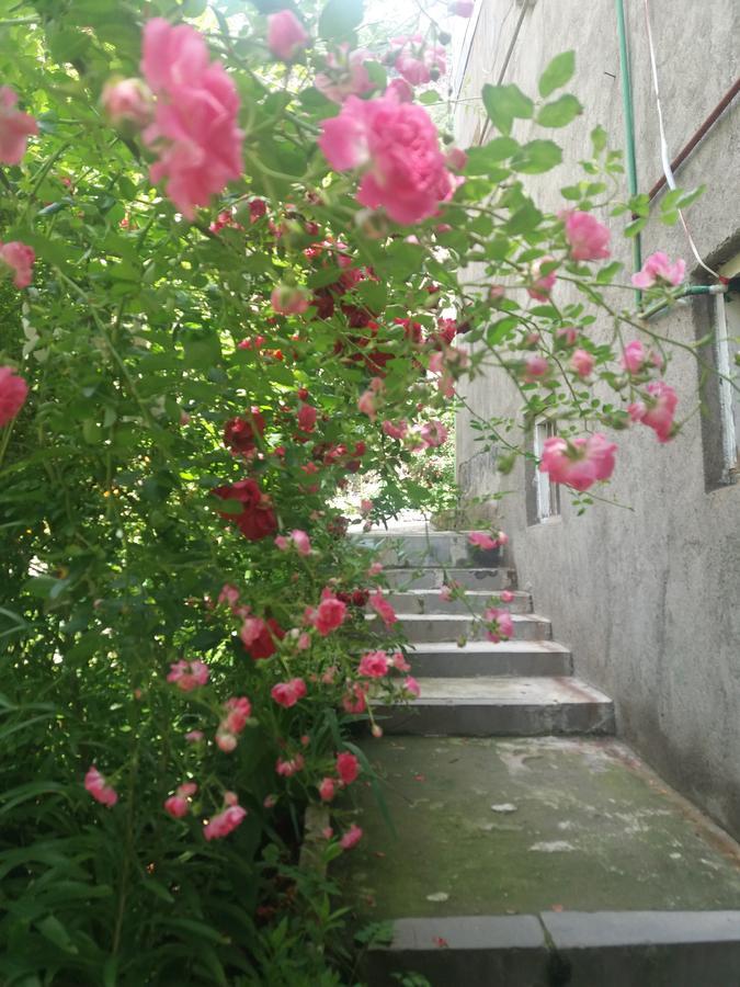 Iris B&B In Debed Canyon Alaverdi Dış mekan fotoğraf