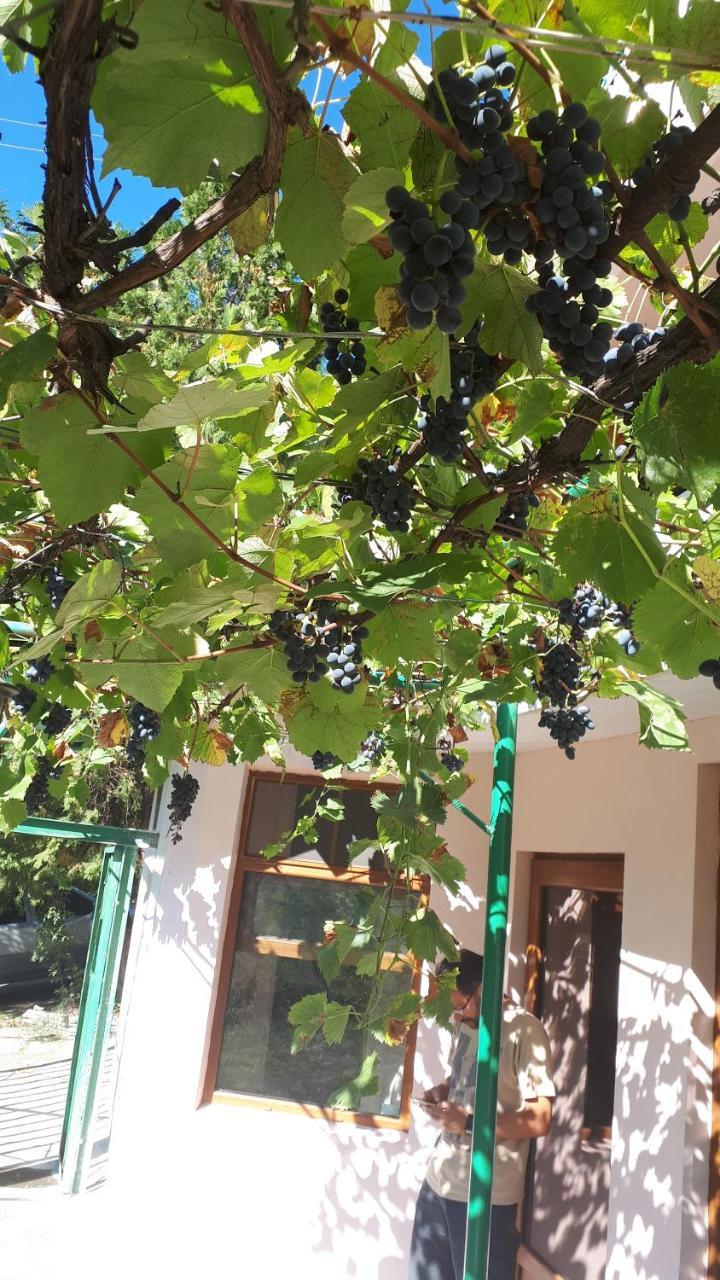 Iris B&B In Debed Canyon Alaverdi Dış mekan fotoğraf